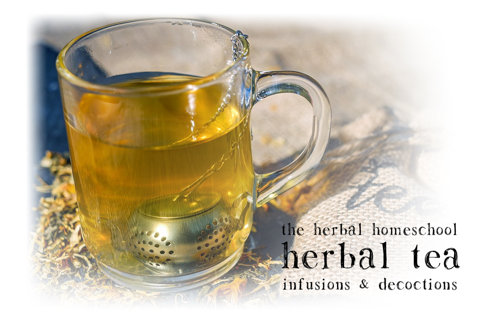 herbal-tea-infusions-and-decoctions