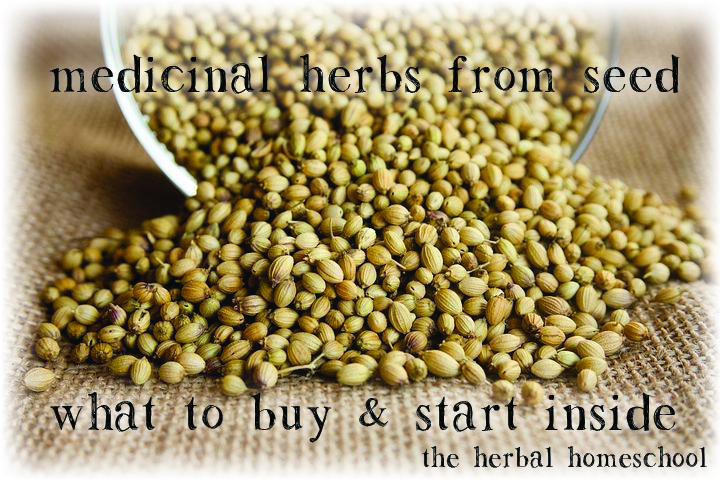 medicinal-herbs-from-seed