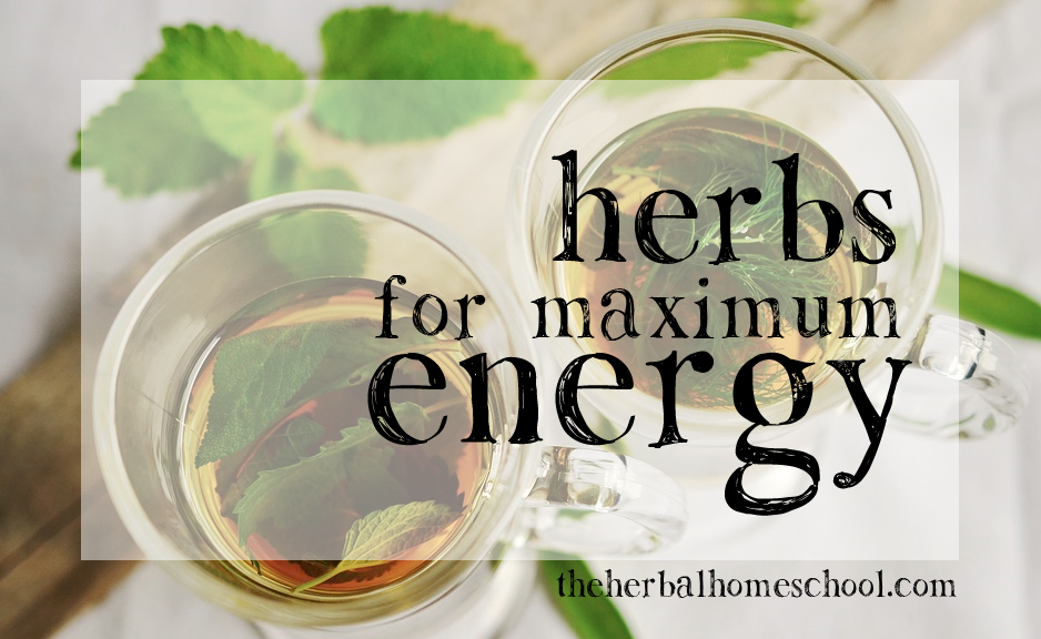 energy herbs