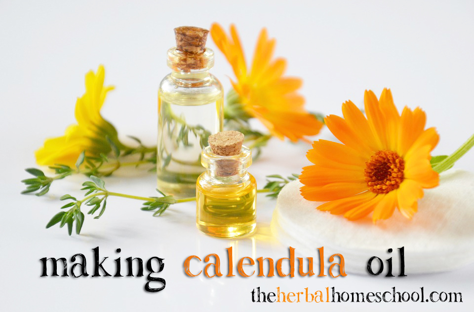 Recipe for making calendula oil