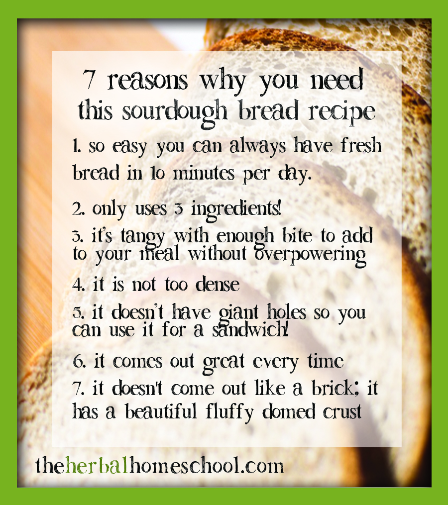 7 Reasons why you need to try sourdough bread