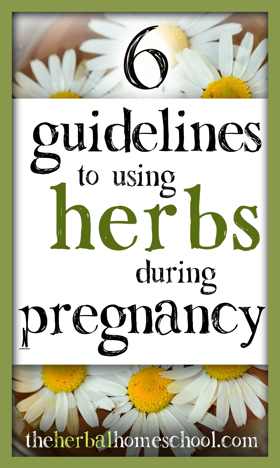 6 Guidelines to using herbs during pregnancy